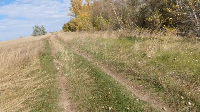 Поездка вдоль реки Алей недалеко от села Захарово (Часть№1).😊