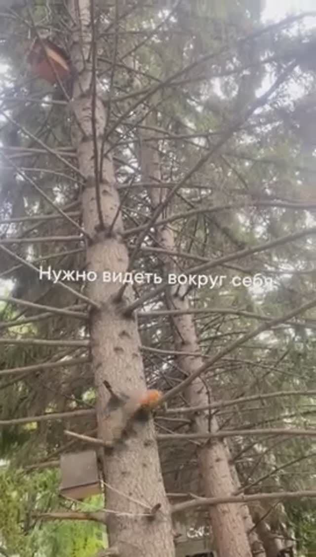 Нужно видеть вокруг себя.