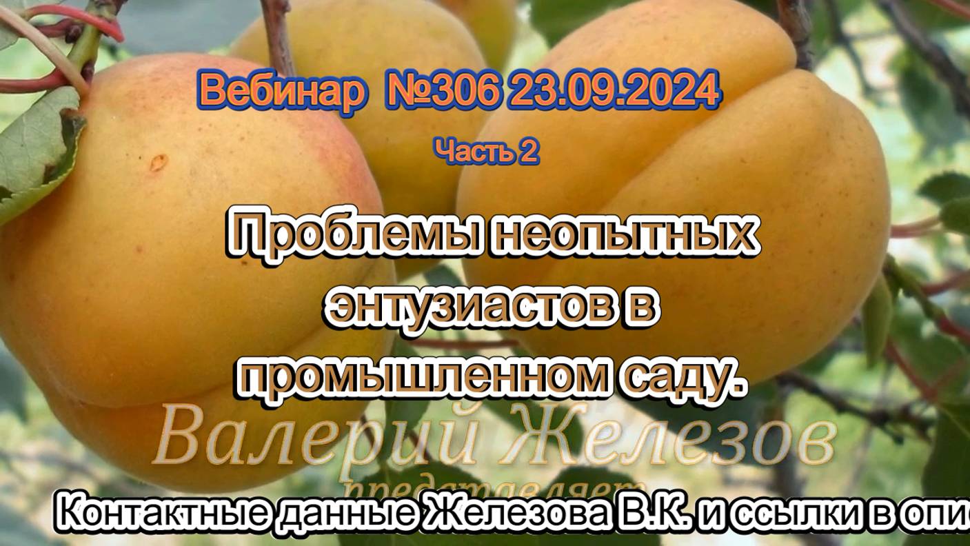 Железов Валерий. Вебинар 306. ч.2. Проблемы неопытных энтузиастов в промышленном саду.