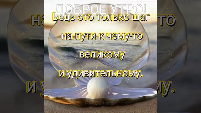 ДОБРОЕ УТРО! Все наладится, слышишь? Всё пройдёт... и снова жизнь наладится.