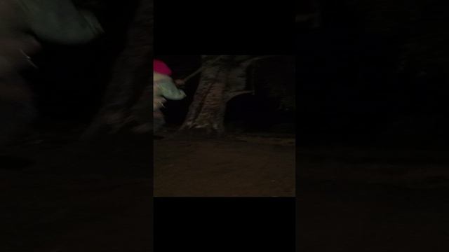 1000005623.mp4
