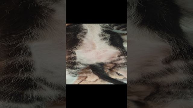 1000070267.mp4