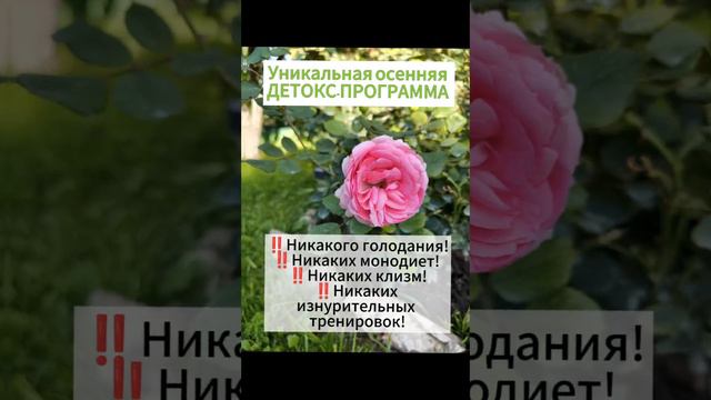 Можно и нужно всем!!!