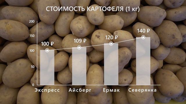 Что почём - мониторинг цен продуктов в Мирном от 23.09.2024