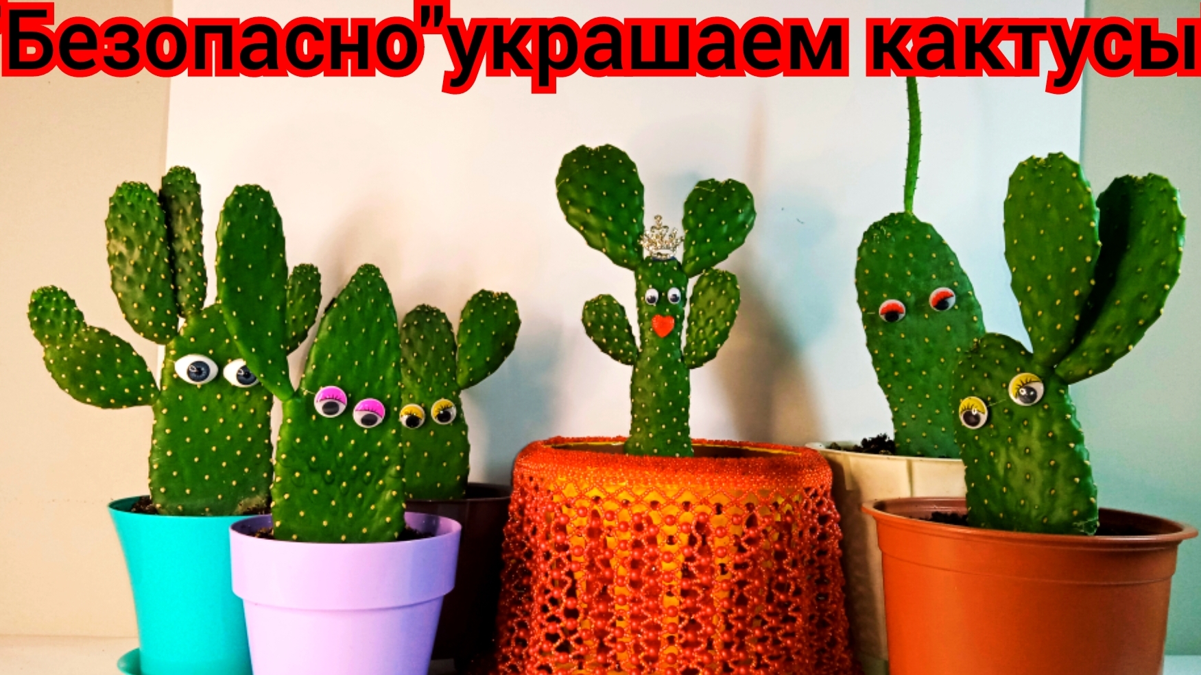 Показываю  как БЕЗОПАСНО украсить Кактус!!!