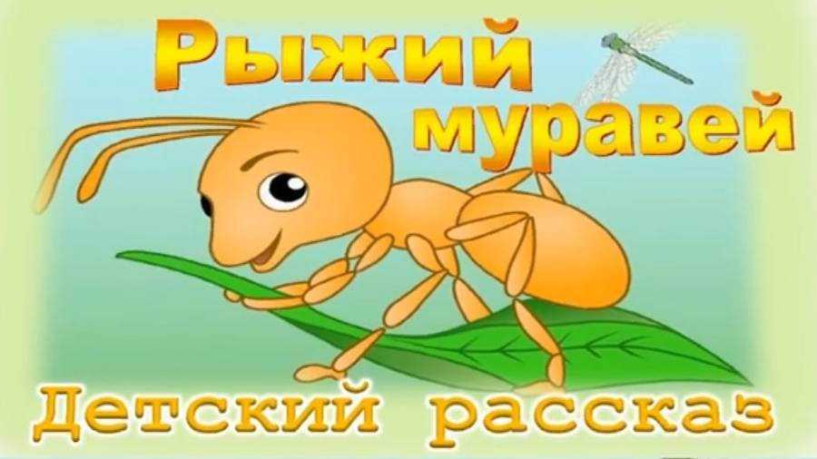 📗 "Рыжий муравей" ~ СЛАЙДЫ | РАССКАЗ Христианский для ДЕТЕЙ 👧☀️ АУДИОРАССКАЗ / В МИРЕ ПРИРОДЫ