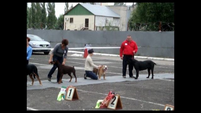 \Липецк 27.07.2013-Регионалка-Ш.Абракимов