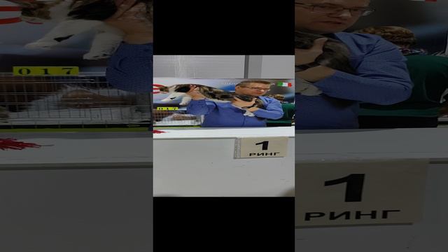 Международная выставка, Екб. Клуб "Грация", 21-22.09.24