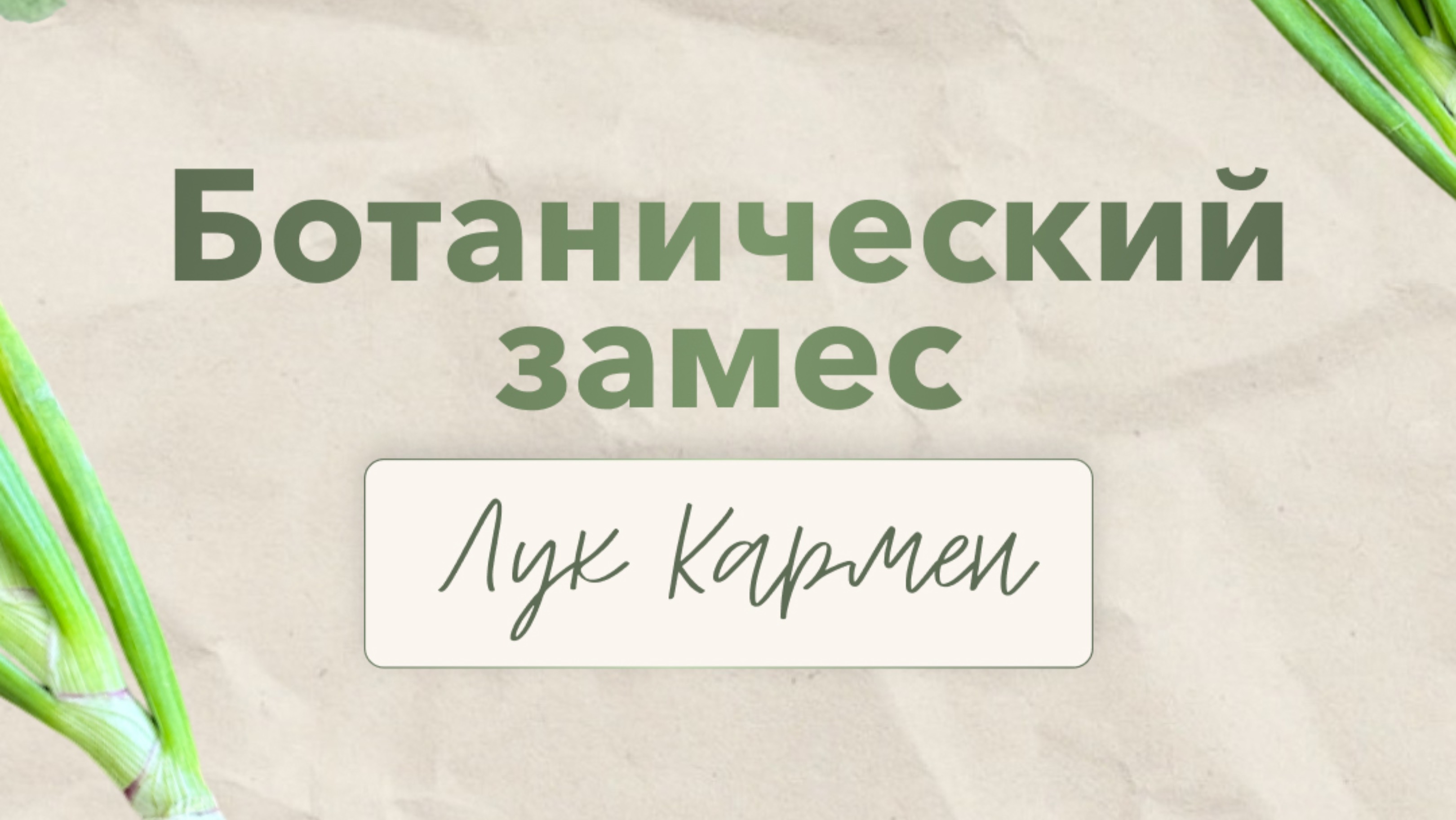 Рубрика «Ботанический замес» от Виринеи Никитиной #акварель #творчество #искусство #обучение