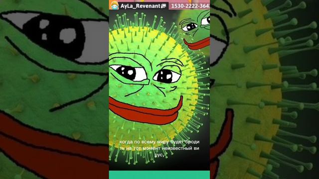 История успеха амогуса