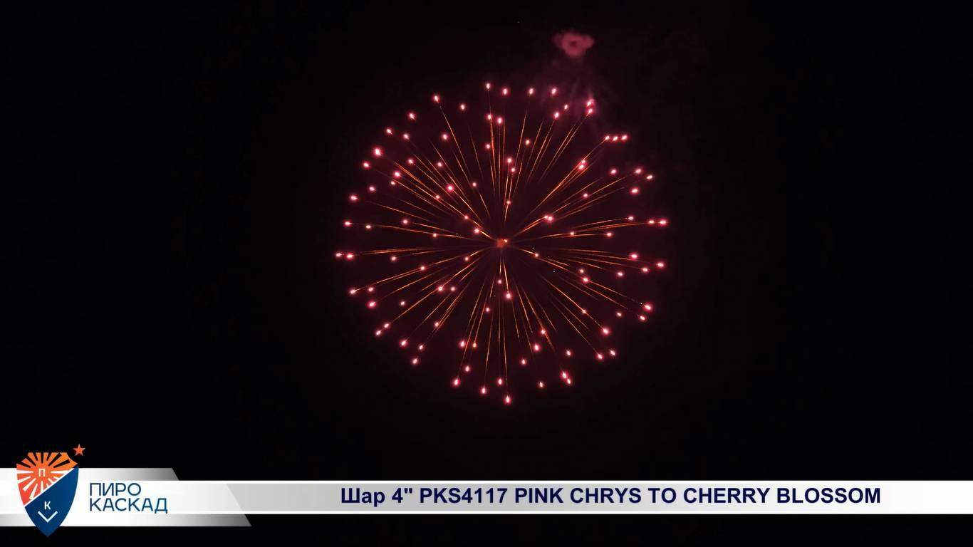 Шар 4" PKS4117 PINK CHRYS TO CHERRY BLOSSOM