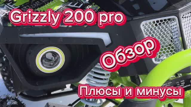 Квадроцикл Grizzly 200 pro обзор плюсы и минусы