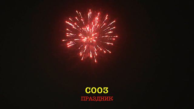 С003 ПРАЗДНИК (12 залпов, 0.8 )