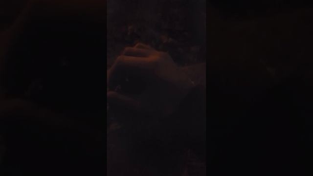 обзор на лагерь