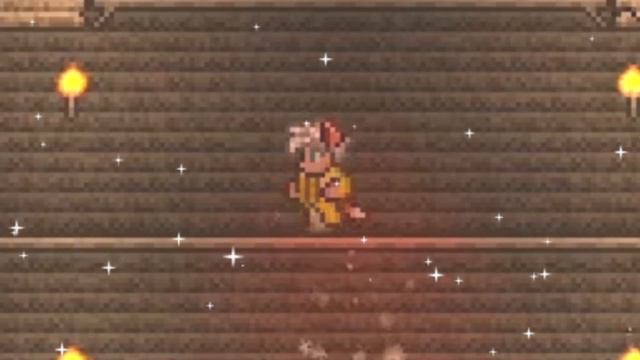 Terraria.exe