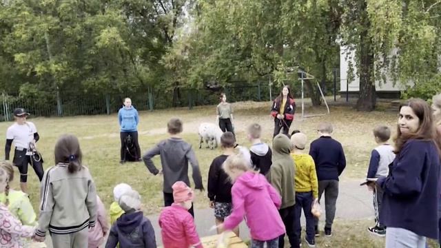 Приют "Сострадание НН" в Нижнем Новгороде открывает двери