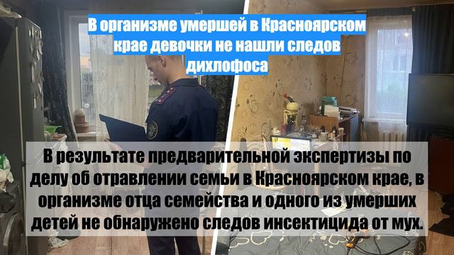 В организме умершей в Красноярском крае девочки не нашли следов дихлофоса