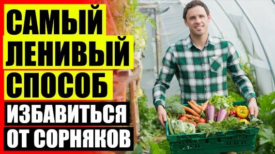 🎯 Как избавиться от сорняков на участке навсегда