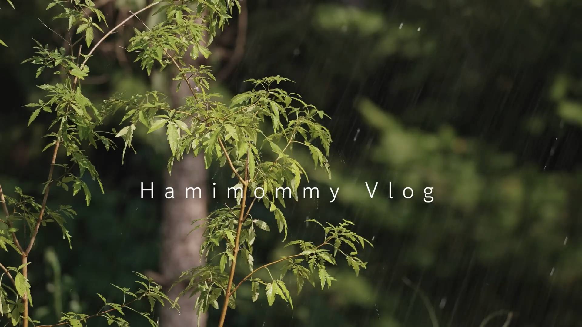 HAMIMOMMY | 5 дней преображения сада 🌱ㅣБольшие перемены в садуㅣКулинария