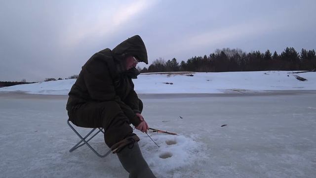 Рыбалка на ельца в Коми/Кормим Чайку рыбой.