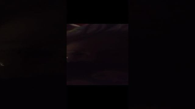 1000000735.mp4