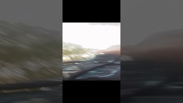 экзотическое животное🙀🙀🙀