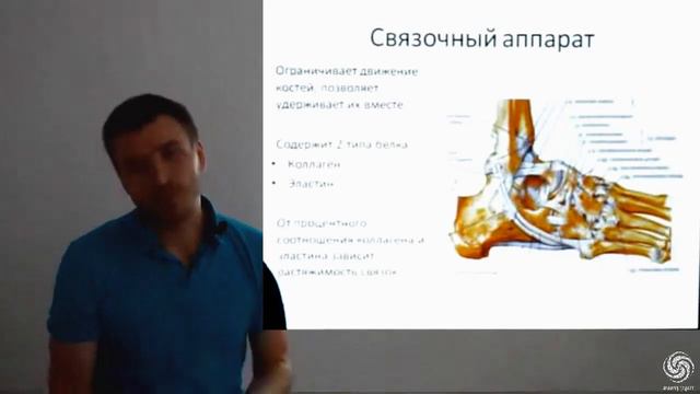 Опорно двигательный аппарат 1ч.