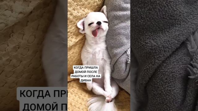 Всем знакомо 😅🤣