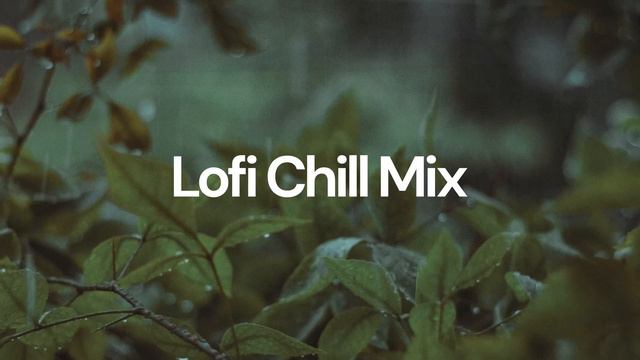 Lofi Chill Mix