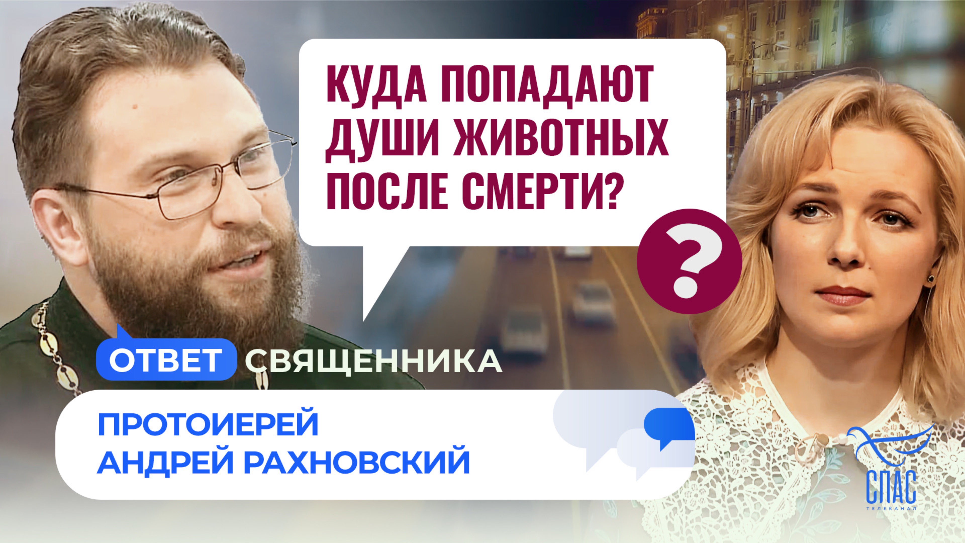 КУДА ПОПАДАЮТ ДУШИ ЖИВОТНЫХ ПОСЛЕ СМЕРТИ? / ОТВЕТ СВЯЩЕННИКА