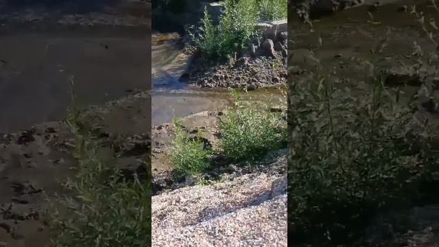 Вот как выглядит бывшее Каховское водохранилище