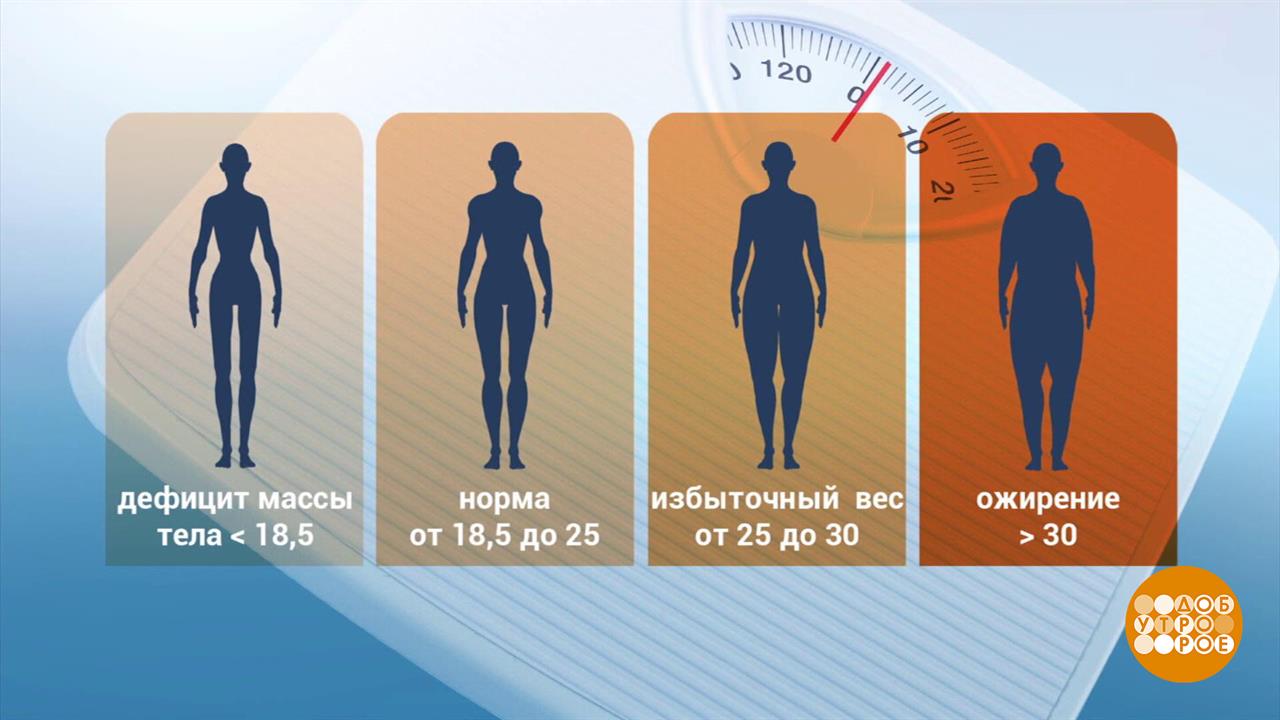 Ожирение: все дело в генах? Доброе утро. Фрагмент выпуска от 24.09.2024