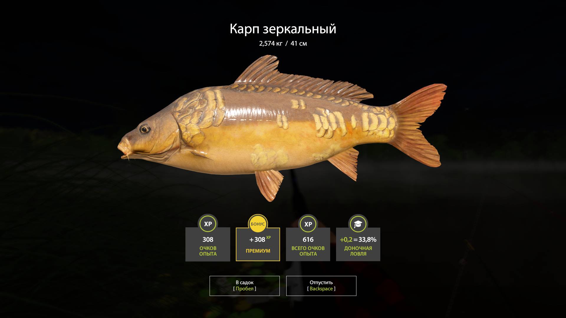 🐟Рекордный Зеркальный Карп 2,5 кг, Русская Рыбалка 4, Russian Fishing 4