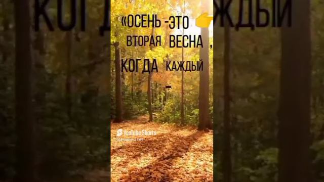 Цитата#83 «каждый лист» motivation #shorts #shorts.mp4