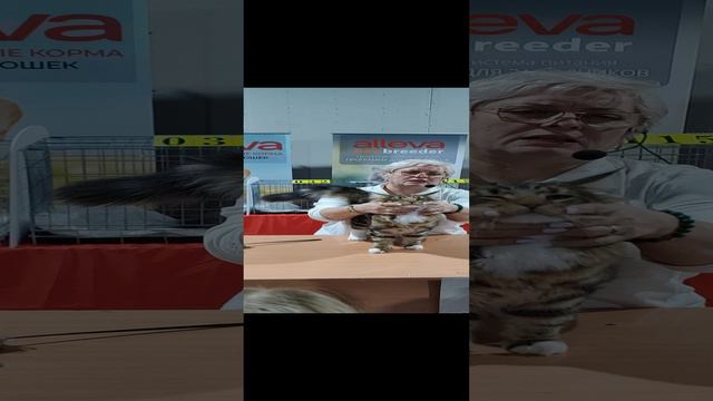 Международная выставкв. Екб, 21-22.09.24. Клуб "Грация"