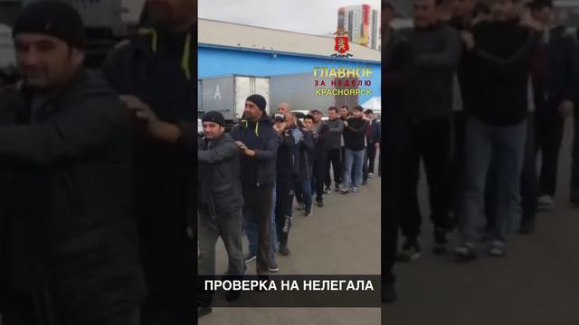 ПРОВЕРКА НА НЕЛЕГАЛА