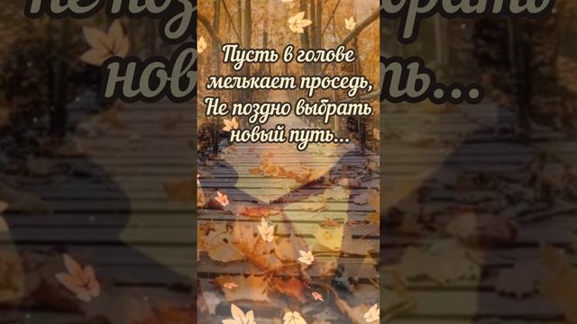 Шалунья Осень🍁#доброеутро#осень#shorts