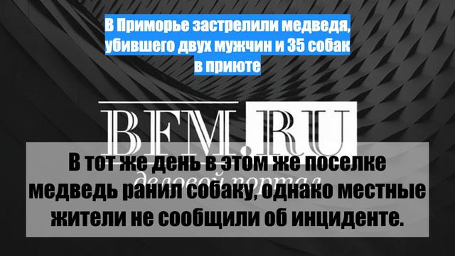 В Приморье застрелили медведя, убившего двух мужчин и 35 собак в приюте