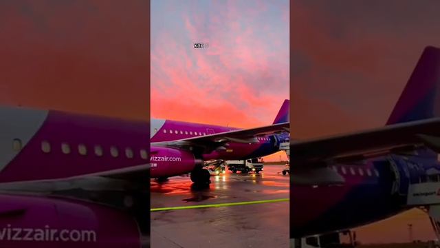 ✈️Лоукостеры: что важно знать при покупке билетов