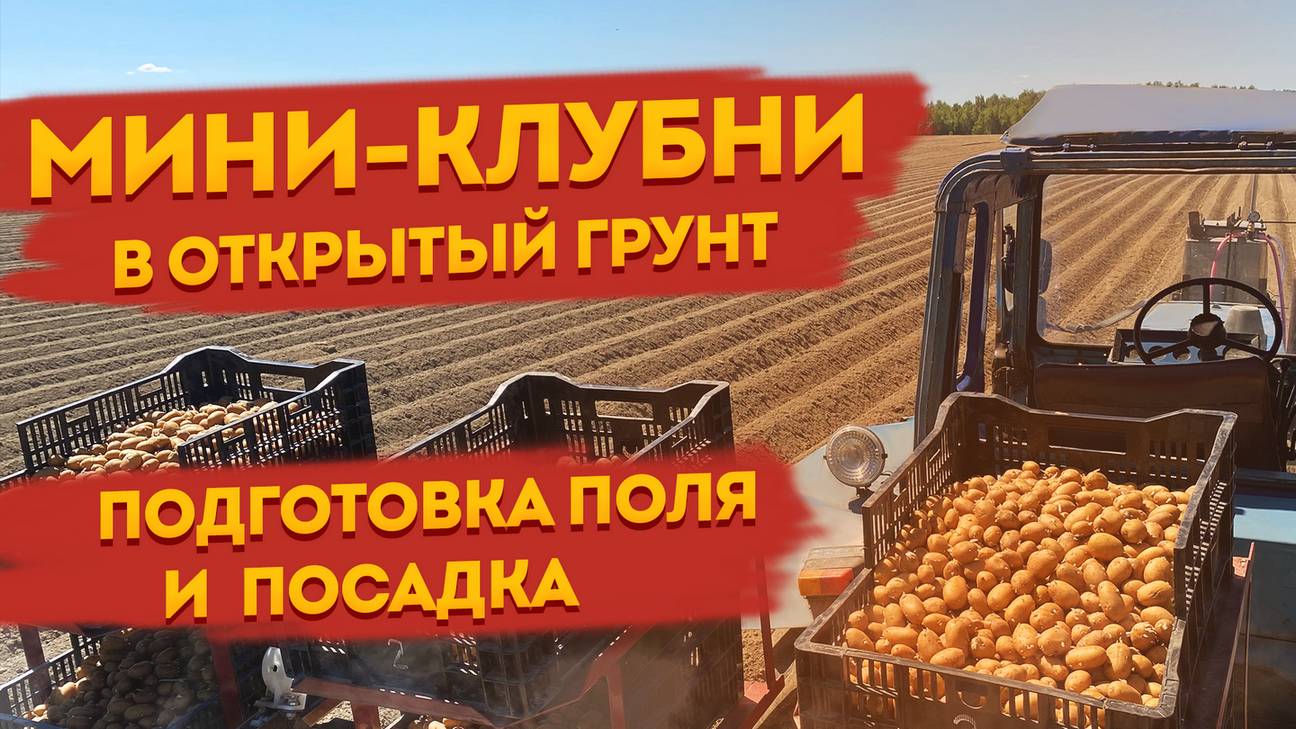 ПОСАДКА КАРТОФЕЛЯ: КФХ "Егорша" и Интернет магазин АгроХарвест