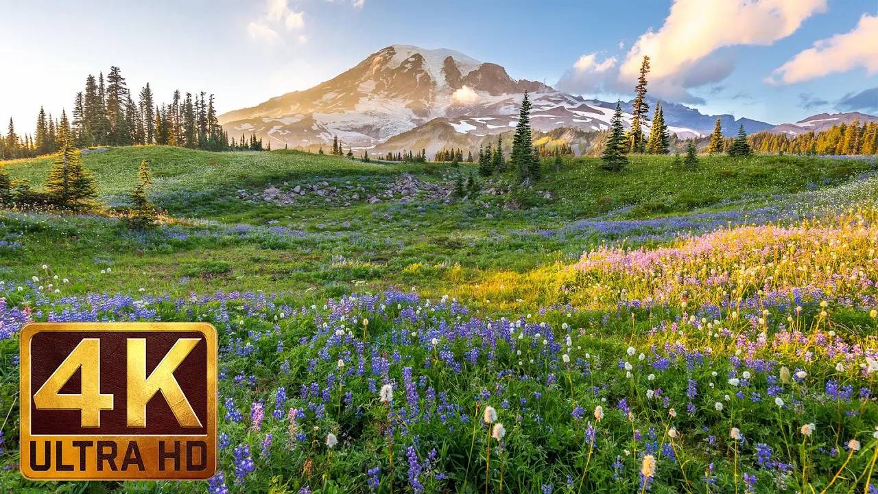 (3 hours) 4K UHD Relaxation video： Mount Rainier National Park Washington State, Nature Sounds