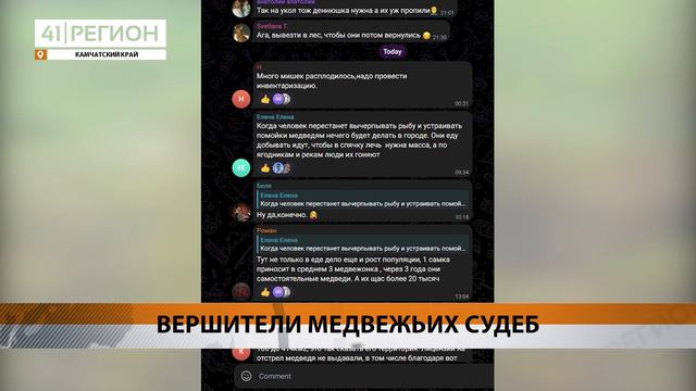 ОТСТРЕЛ МЕДВЕДЕЙ ПОДДЕРЖИВАЕТ БОЛЬШИНСТВО ЖИТЕЛЕЙ КАМЧАТКИ • НОВОСТИ КАМЧАТКИ