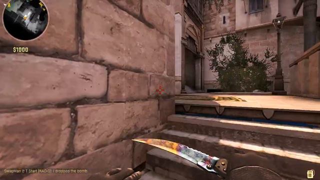 CS:GO Community Market Item -- Flip Knife Case Hardened Well-Worn In-Game Demo