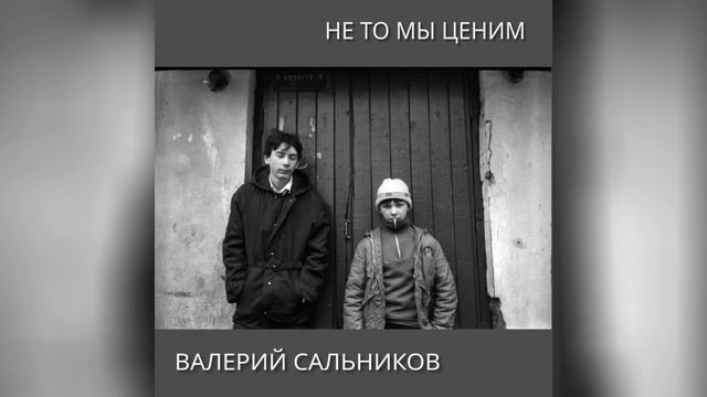 Валерий Сальников - Не то мы ценим (аудио)