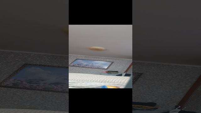 20240923_222842.mp4
