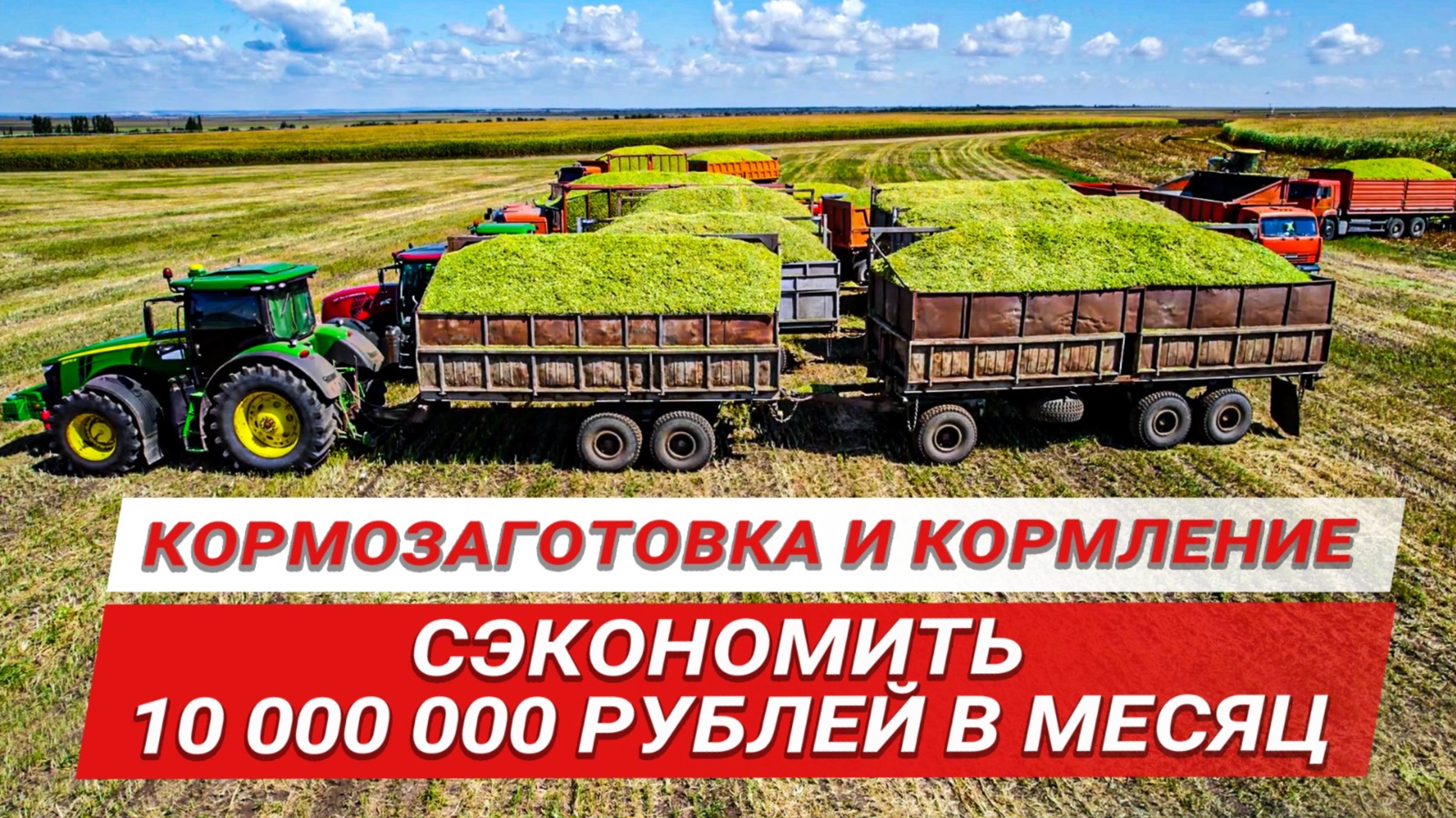 Сэкономить 10 миллионов в месяц | Krone Big X на уборке кормов | Сенаж тритикале | Кукурузный силос