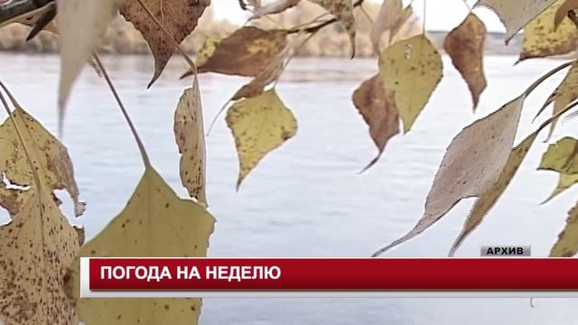 ПОГОДА НА НЕДЕЛЮ 23.09