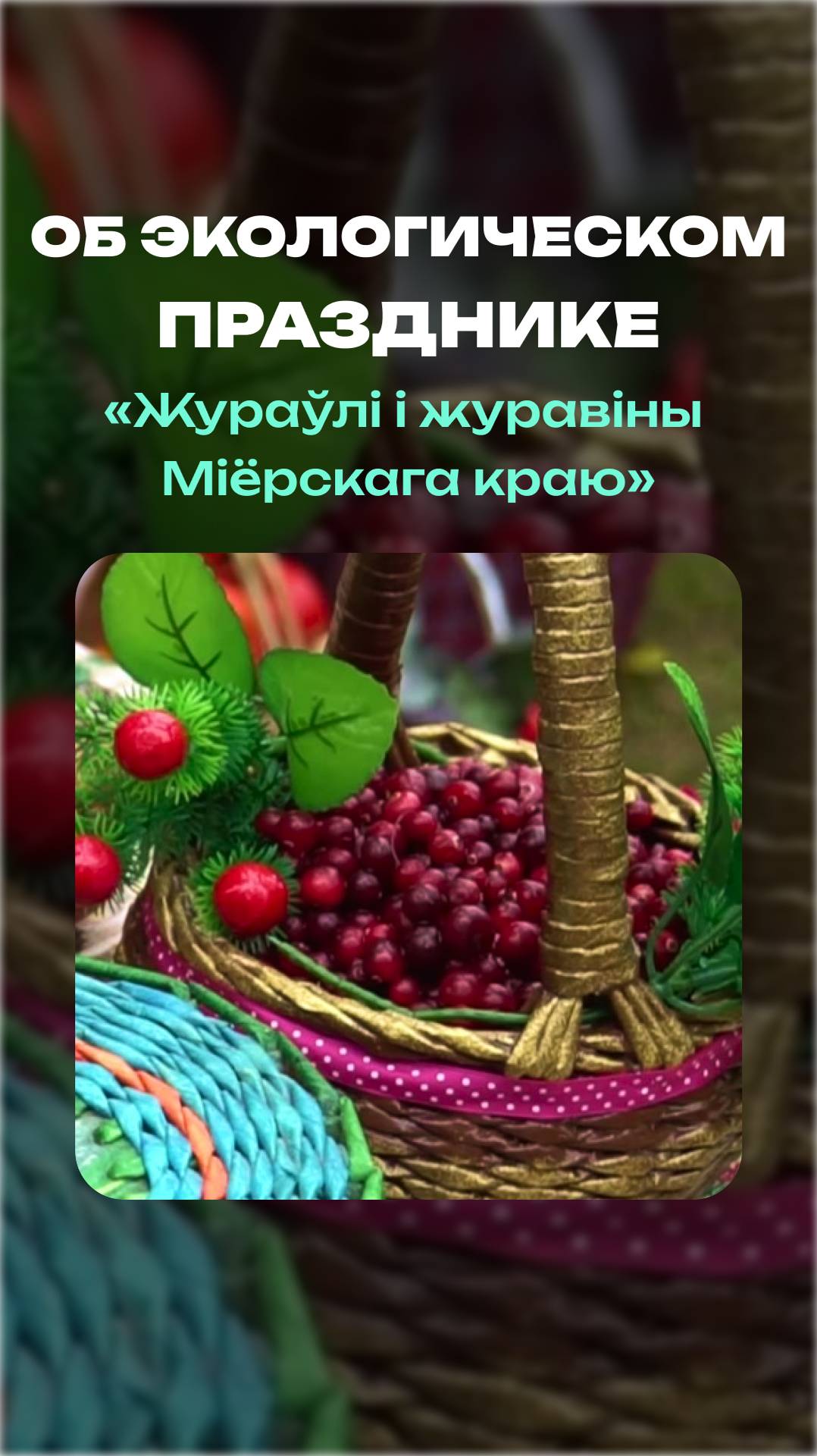 Лариса Малецкая | Об экологическом празднике «Жураўлі і журавіны Міёрскага краю» #туризм #беларусь