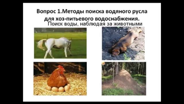 Как найти воду на участке для скважины и колодца ч4