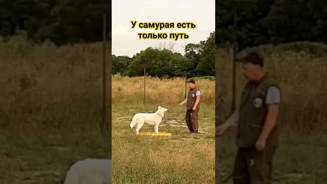 Упорство это путь к успеху